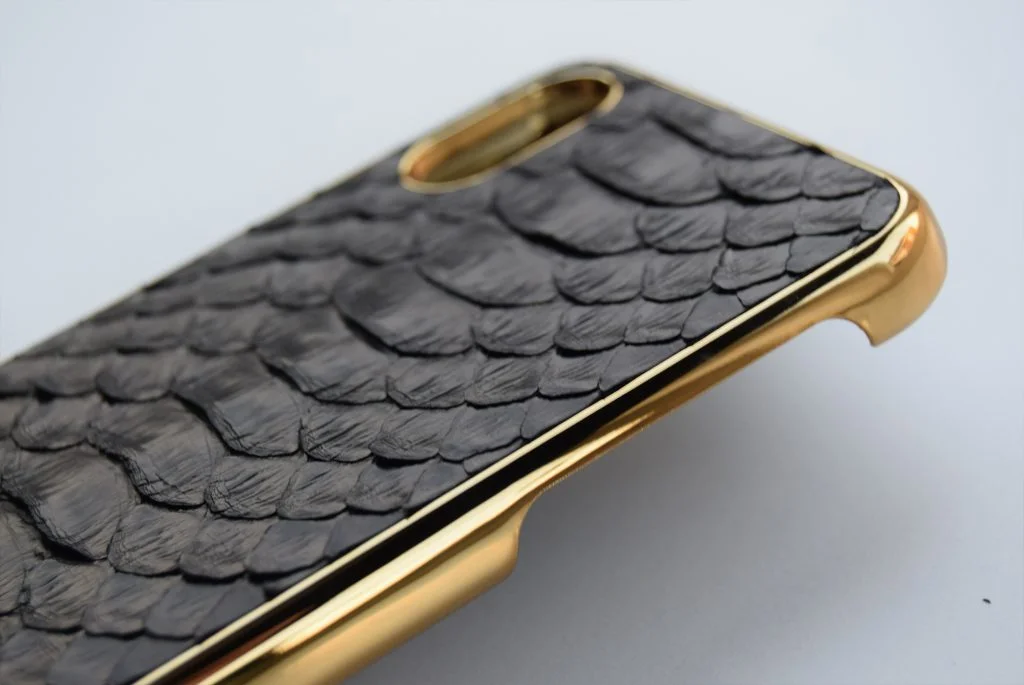 Gold case with python