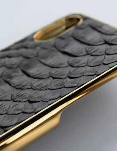 Gold-case-with-python